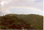 rainbow4.jpg (56295 bytes)